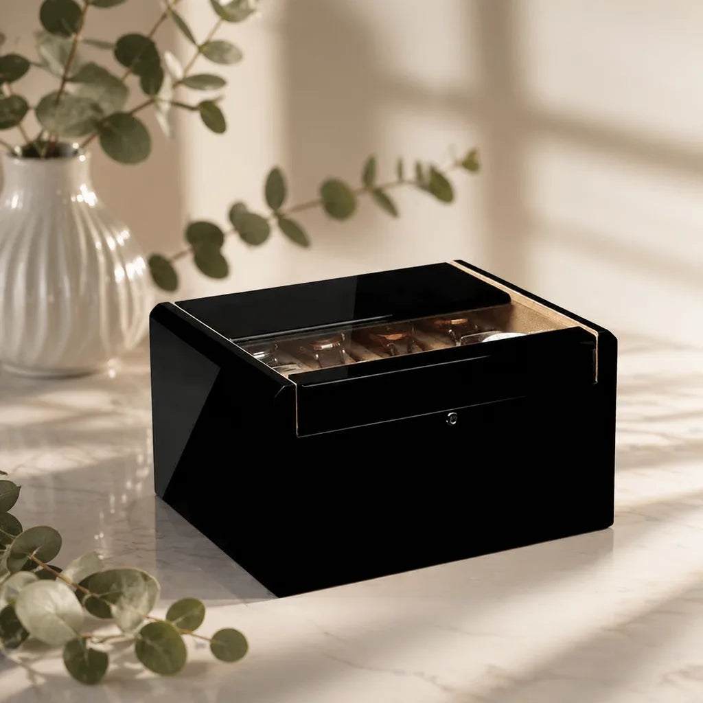 Boîte À Montre Homme Luxe