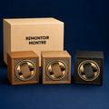 moteur-remontoir-montre